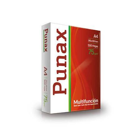Resma Punax A475G (10) X Unid